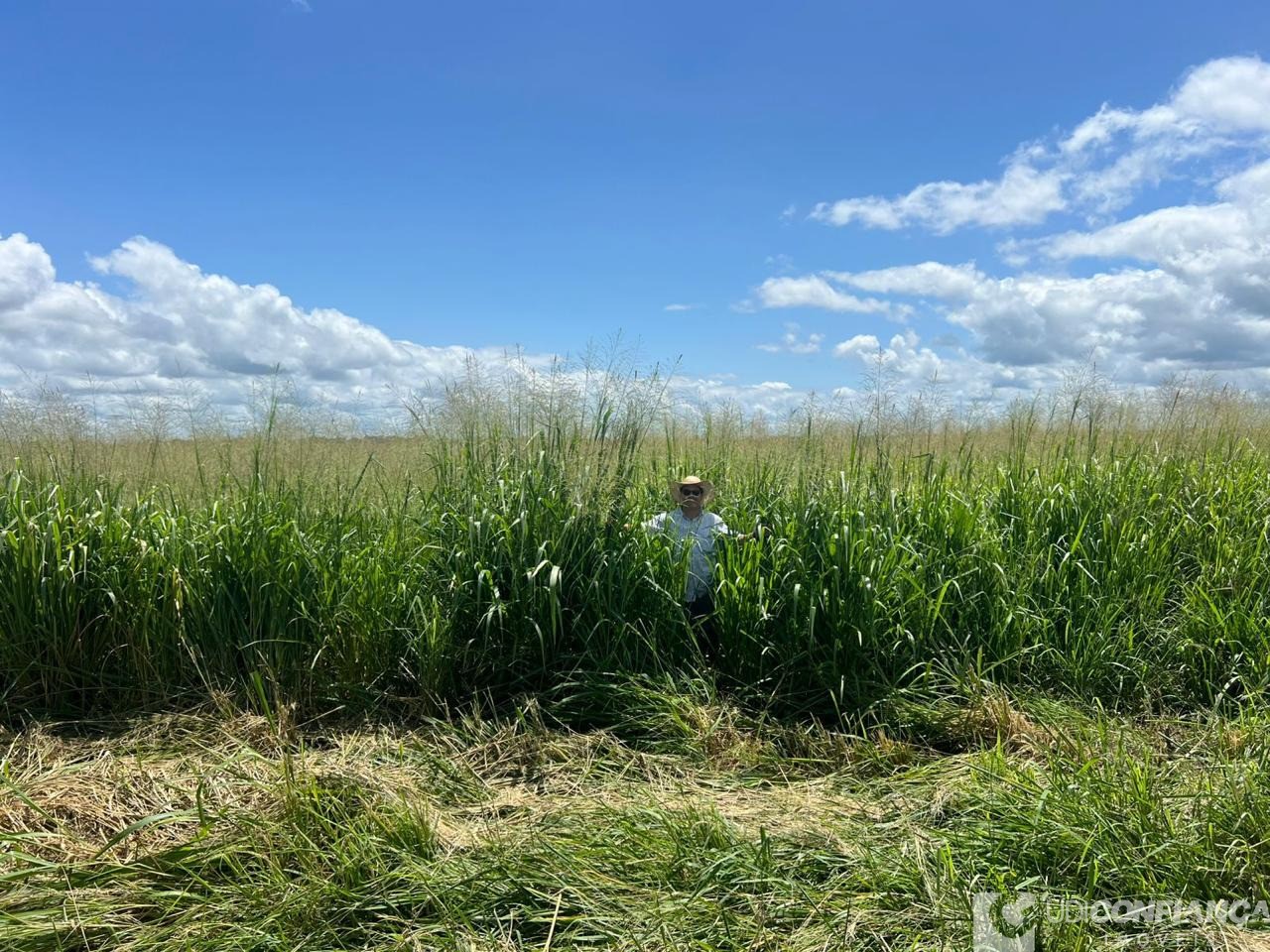 Fazenda - Foto 13