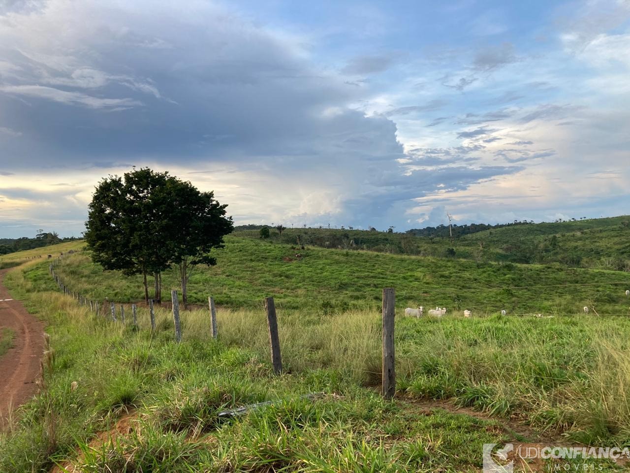 Fazenda - Foto 20
