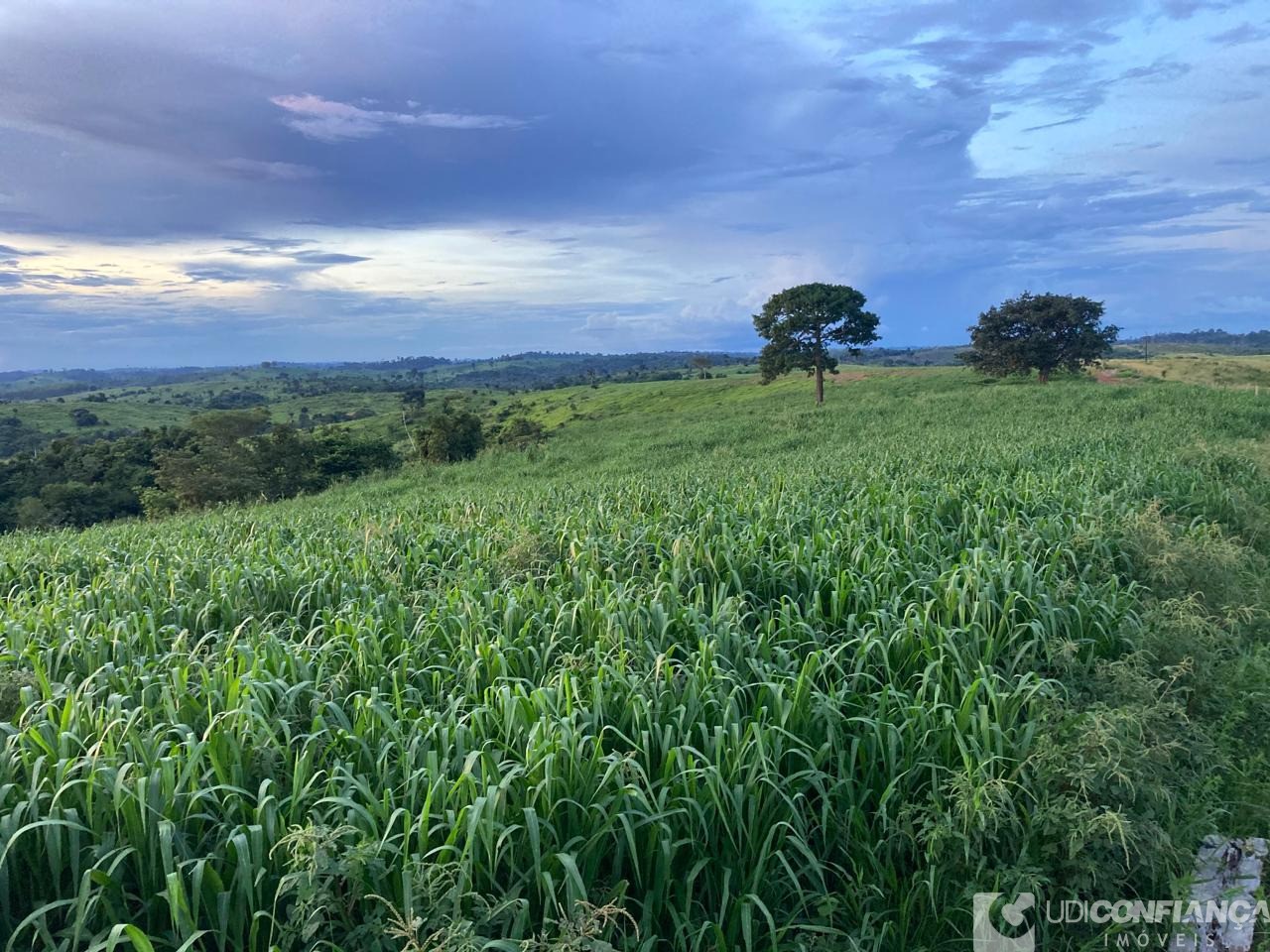 Fazenda - Foto 14