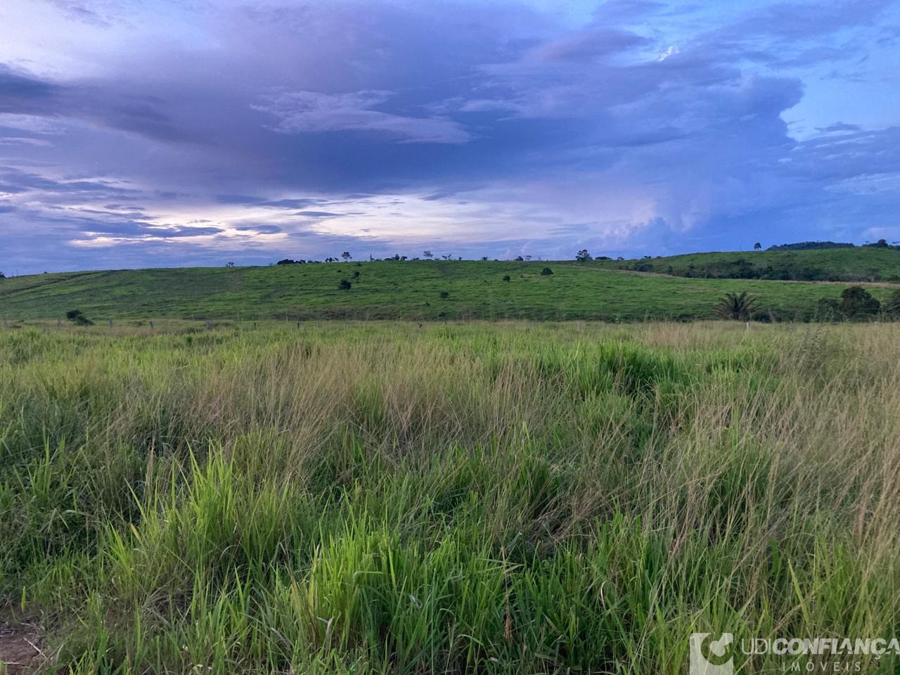Fazenda - Foto 8