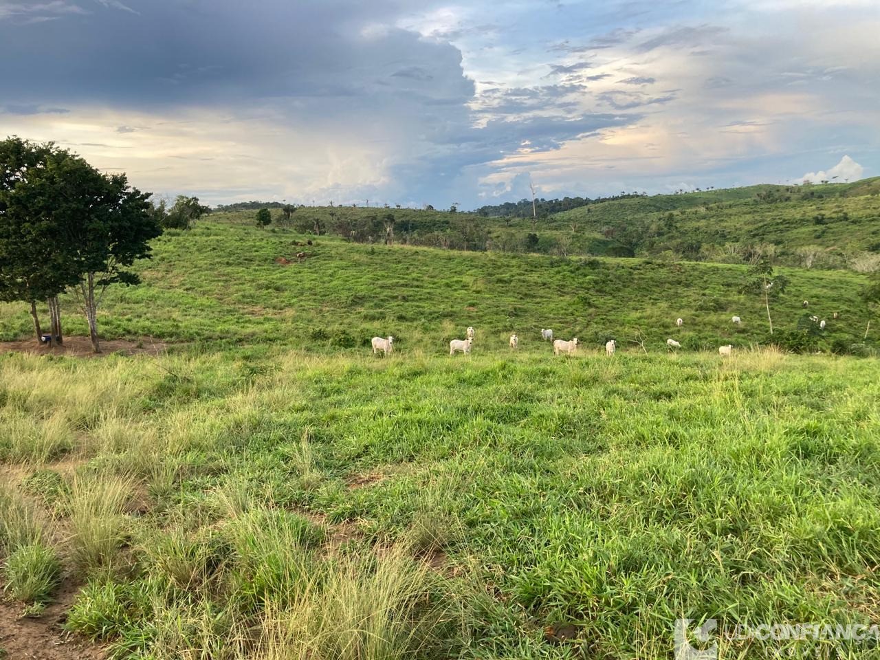 Fazenda - Foto 1