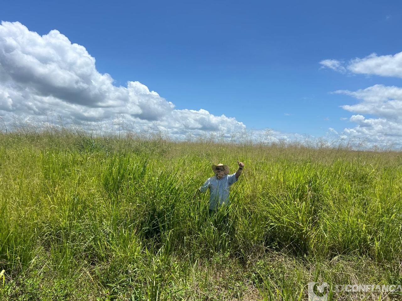 Fazenda - Foto 8