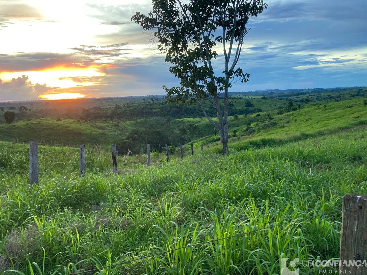 Fazenda - Foto 17