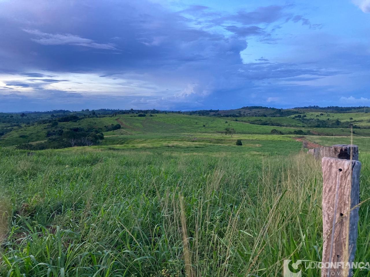 Fazenda - Foto 10
