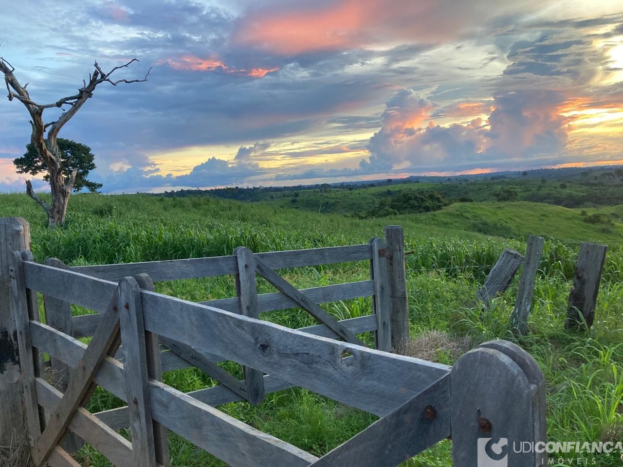 Fazenda - Foto 13
