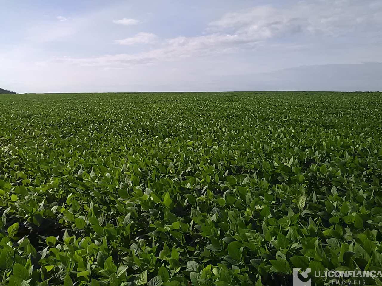 Fazenda - Foto 16