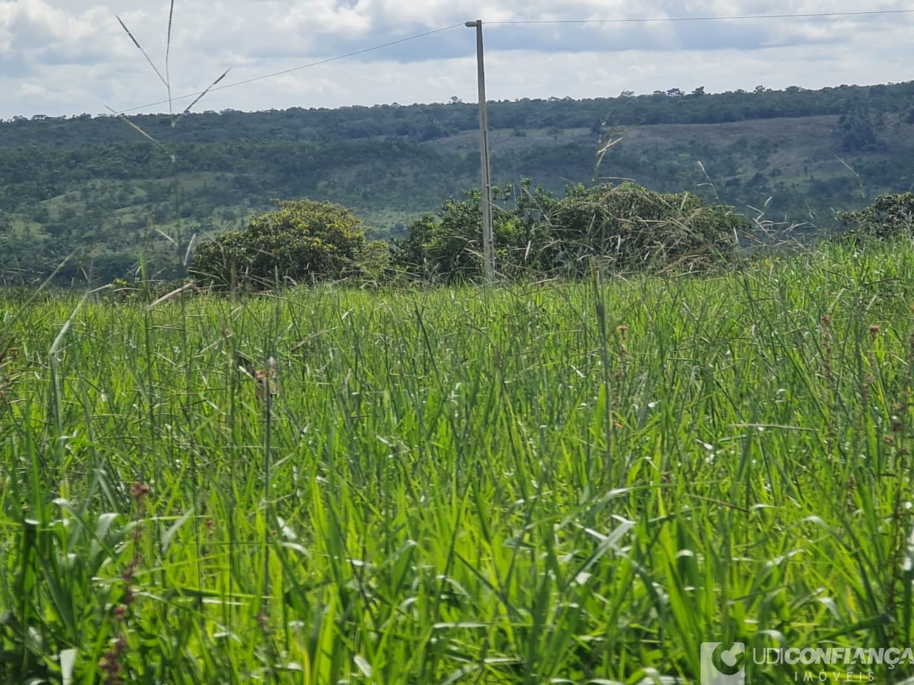 Fazenda - Foto 9