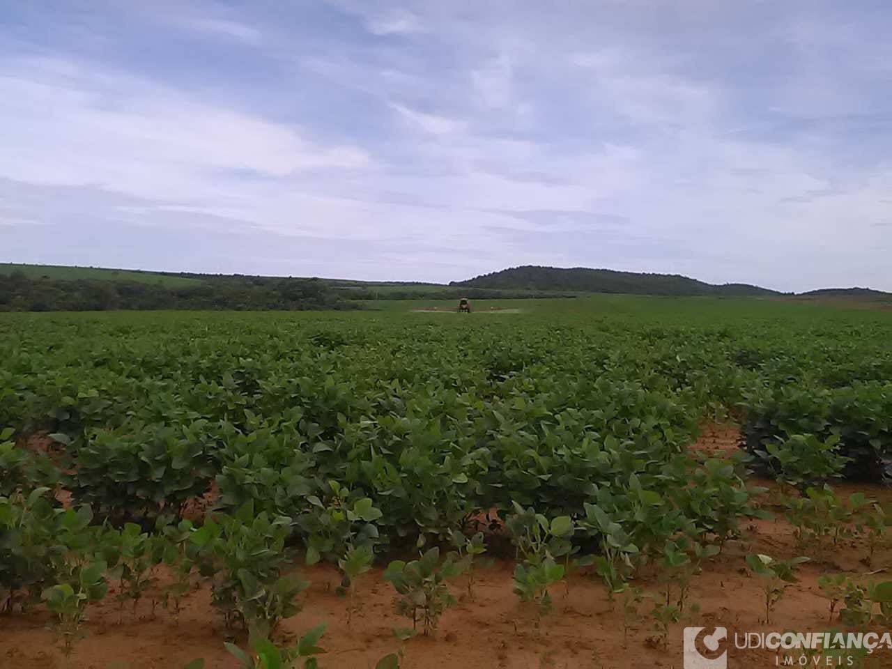 Fazenda - Foto 23