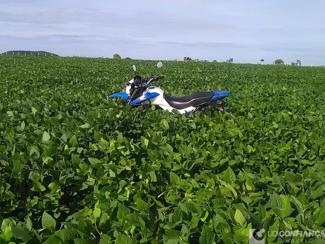 Fazenda - Foto 19