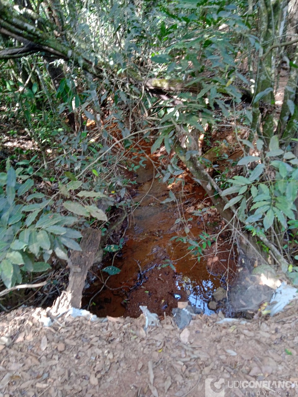 Fazenda - Foto 17