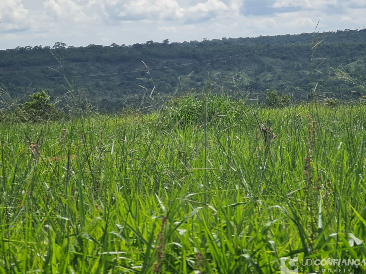 Fazenda - Foto 10