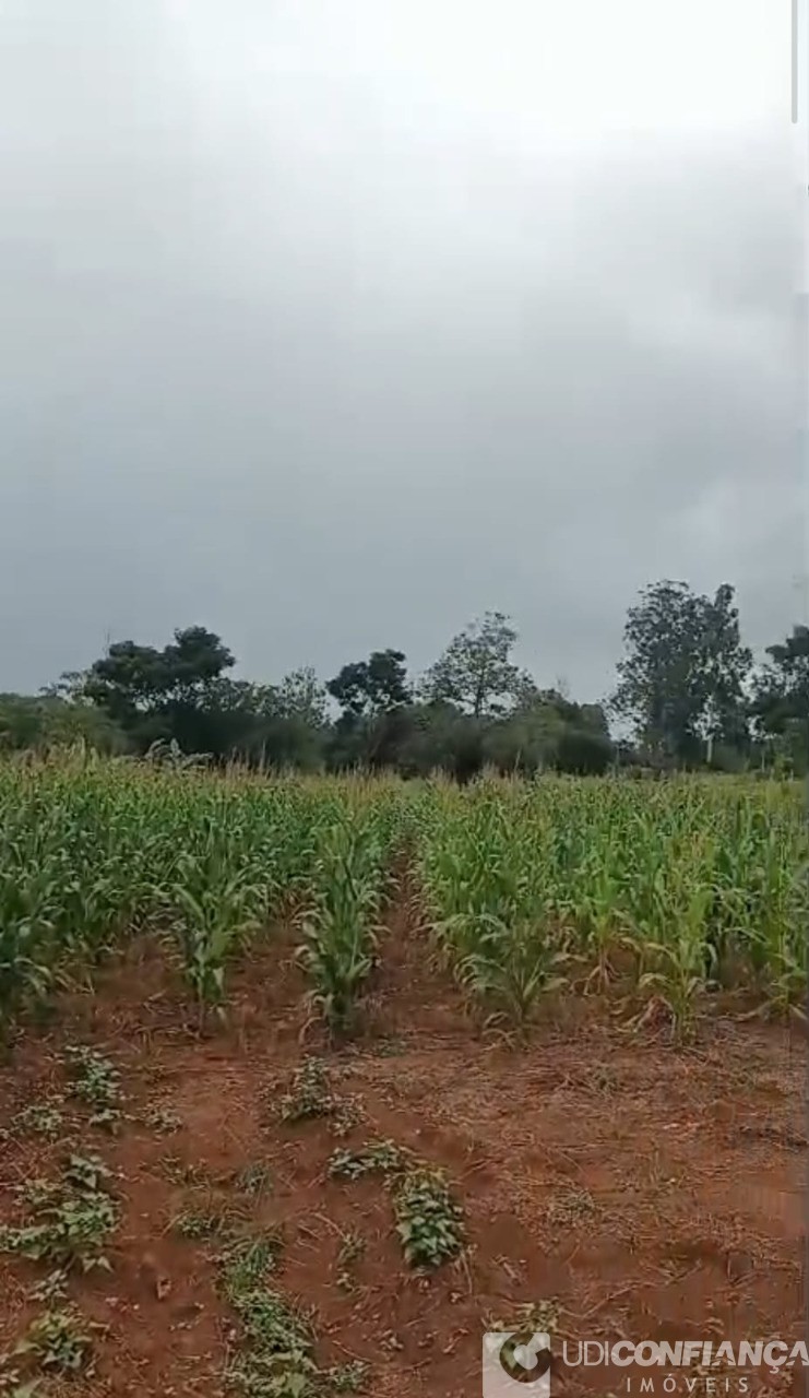 Fazenda - Foto 11