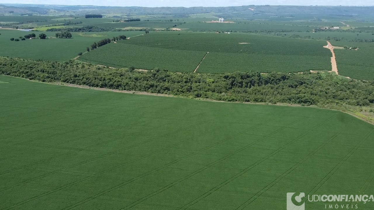 Fazenda - Foto 4