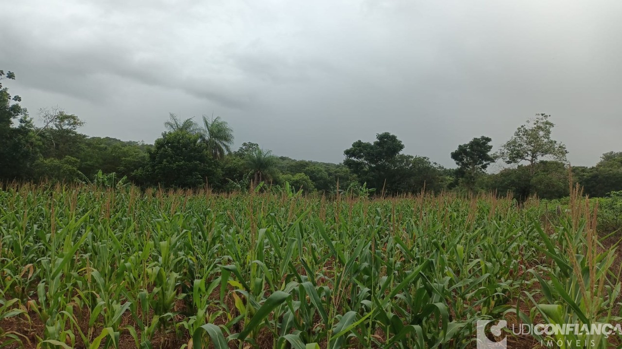 Fazenda - Foto 3