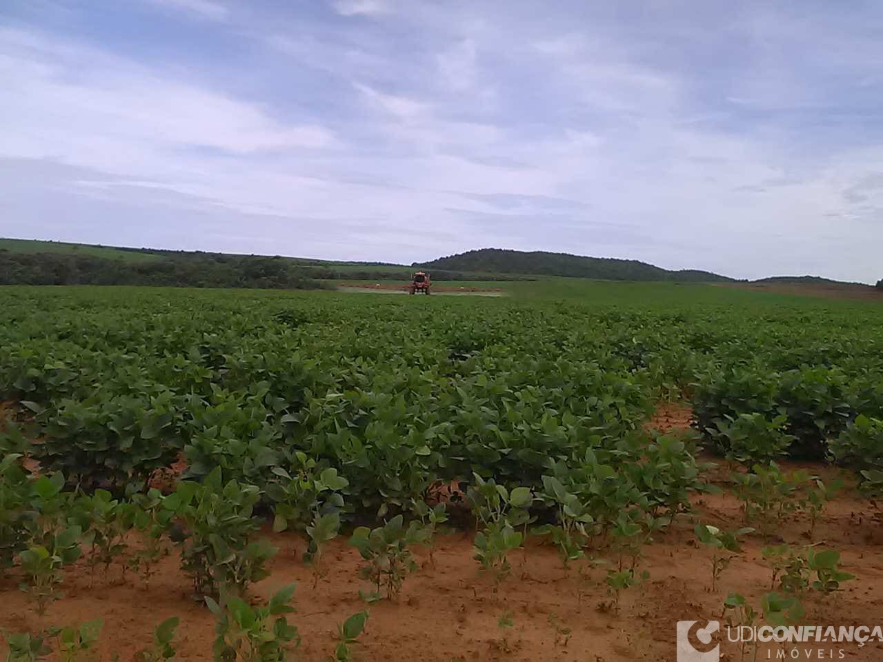 Fazenda - Foto 25