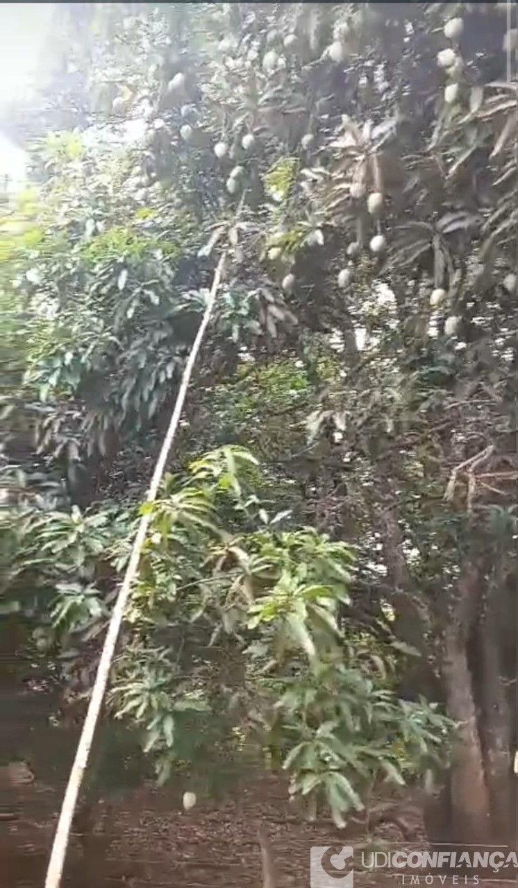 Fazenda - Foto 6