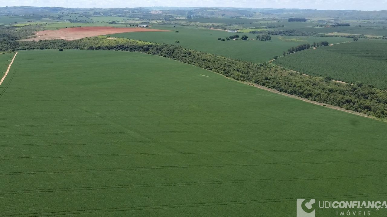 Fazenda - Foto 6