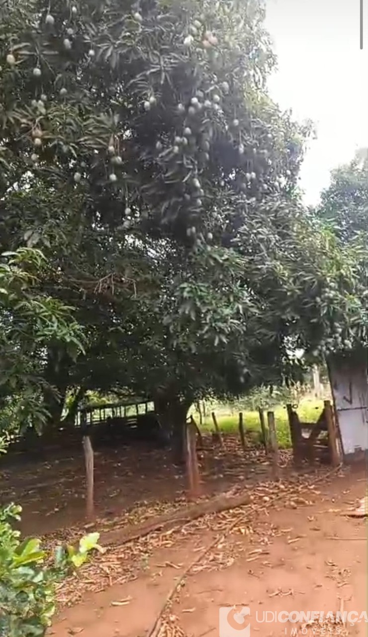 Fazenda - Foto 5