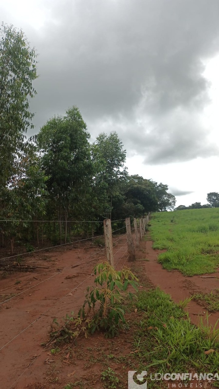Fazenda - Foto 17