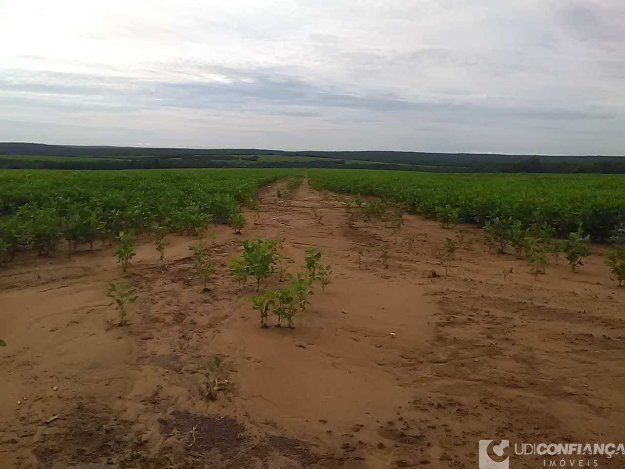 Fazenda - Foto 24