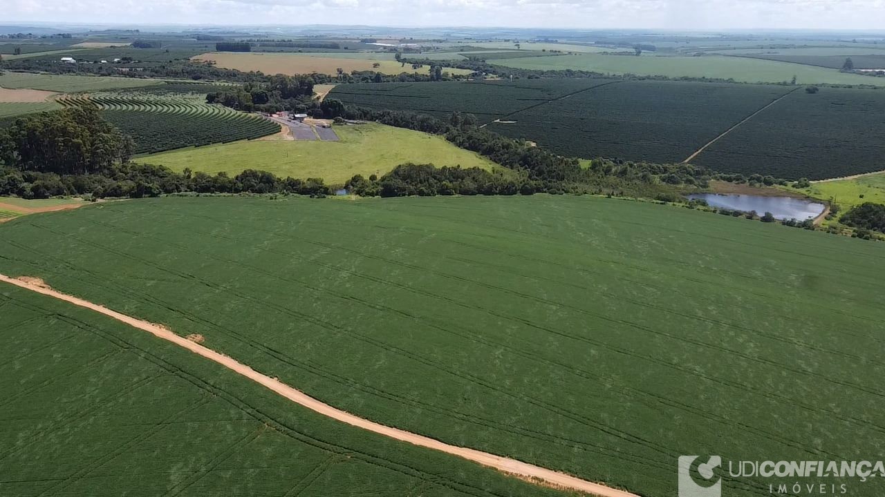 Fazenda - Foto 3