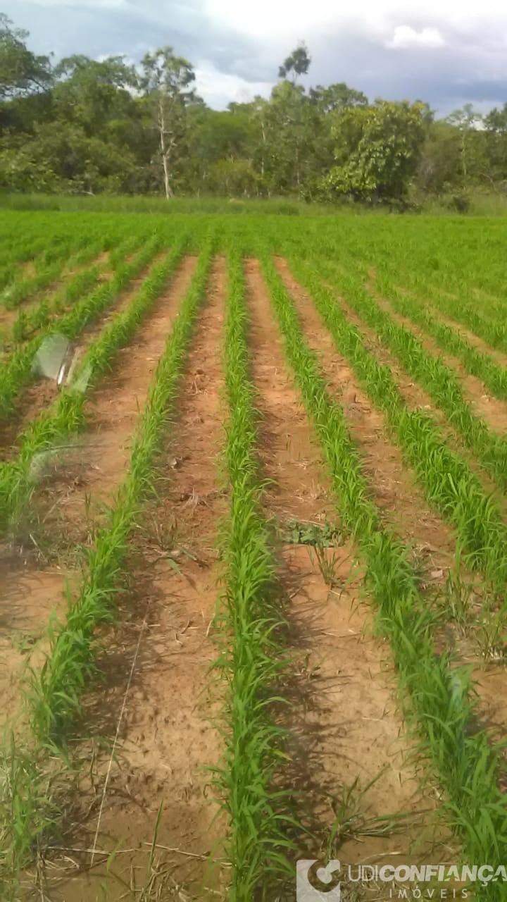 Fazenda - Foto 22