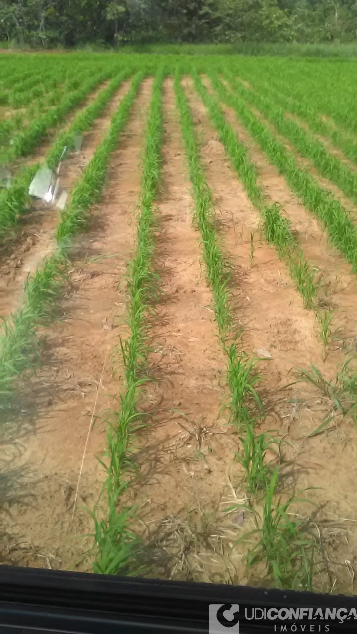 Fazenda - Foto 21