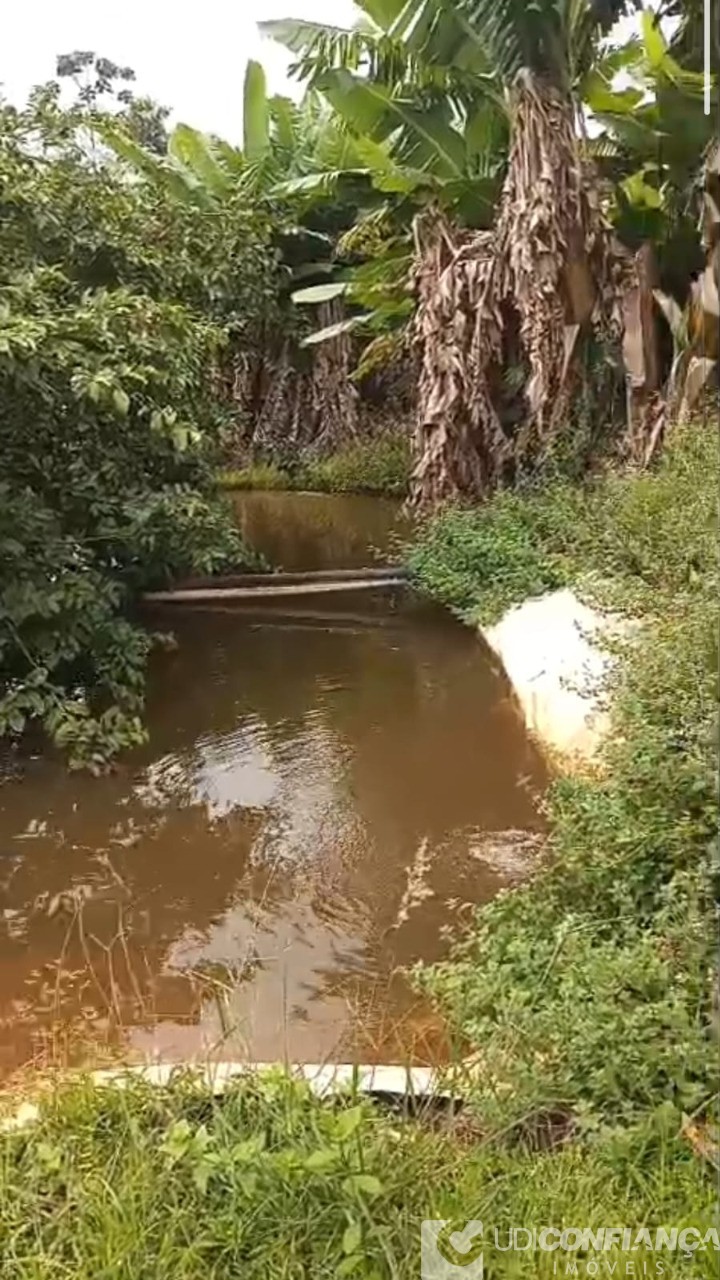 Fazenda - Foto 15