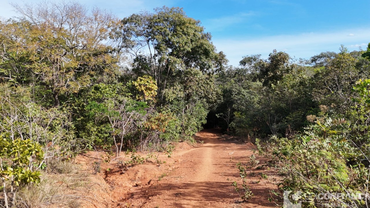 Fazenda - Foto 9