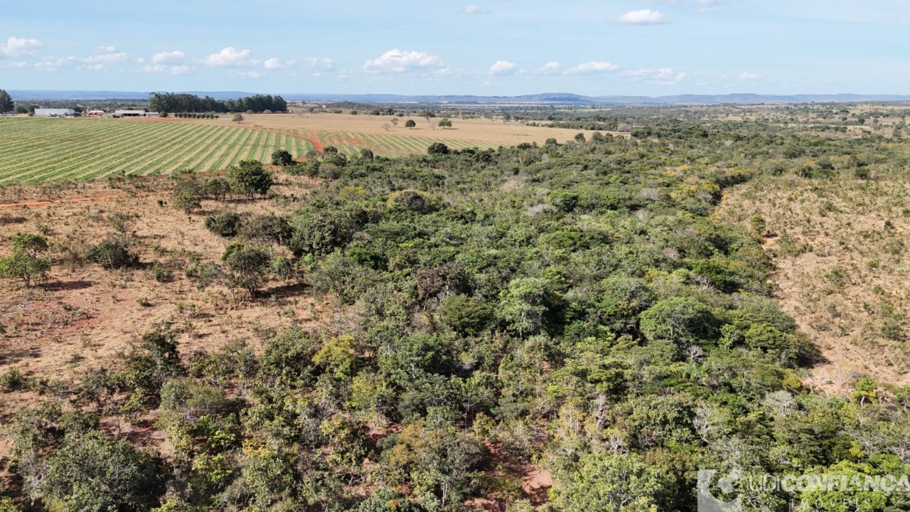 Fazenda - Foto 10