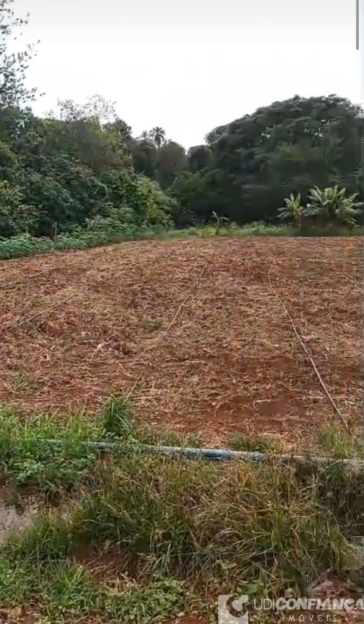 Fazenda - Foto 13