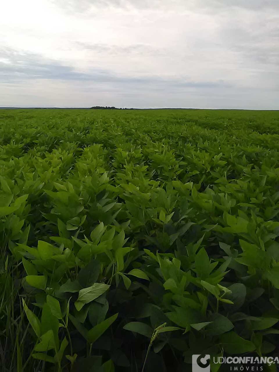 Fazenda - Foto 28