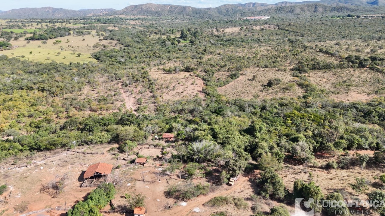 Fazenda - Foto 11