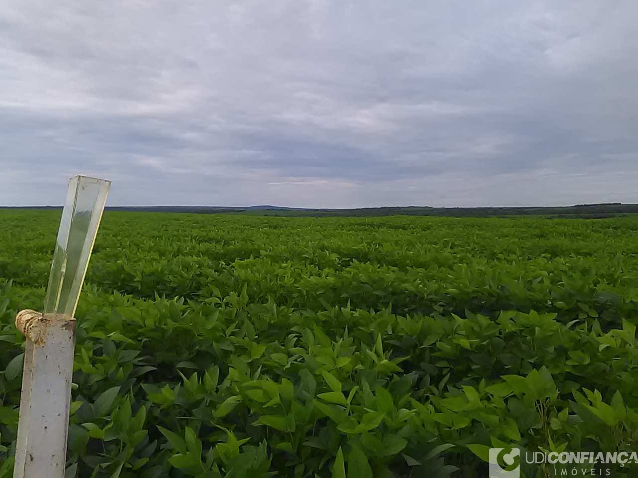 Fazenda - Foto 17