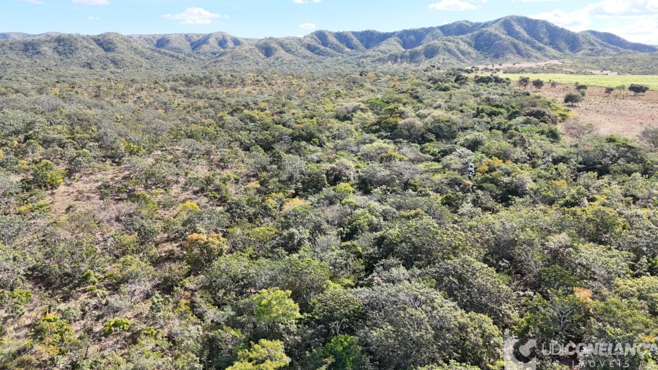 Fazenda - Foto 7