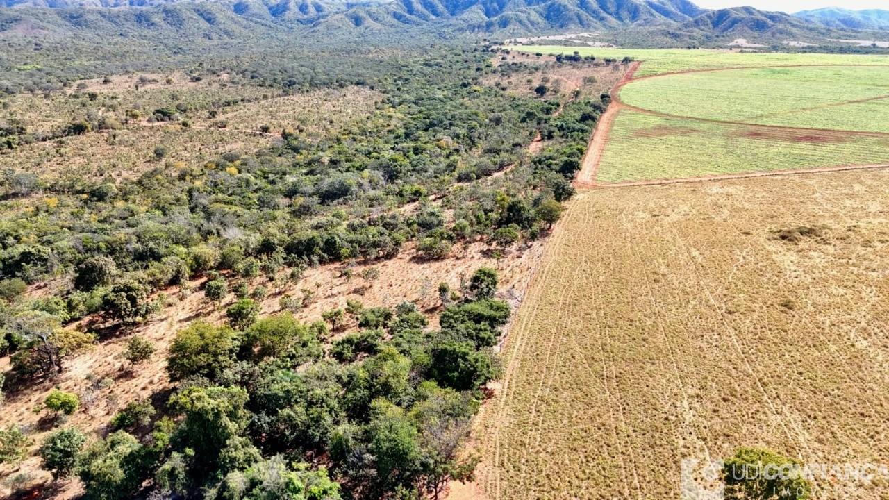 Fazenda - Foto 19