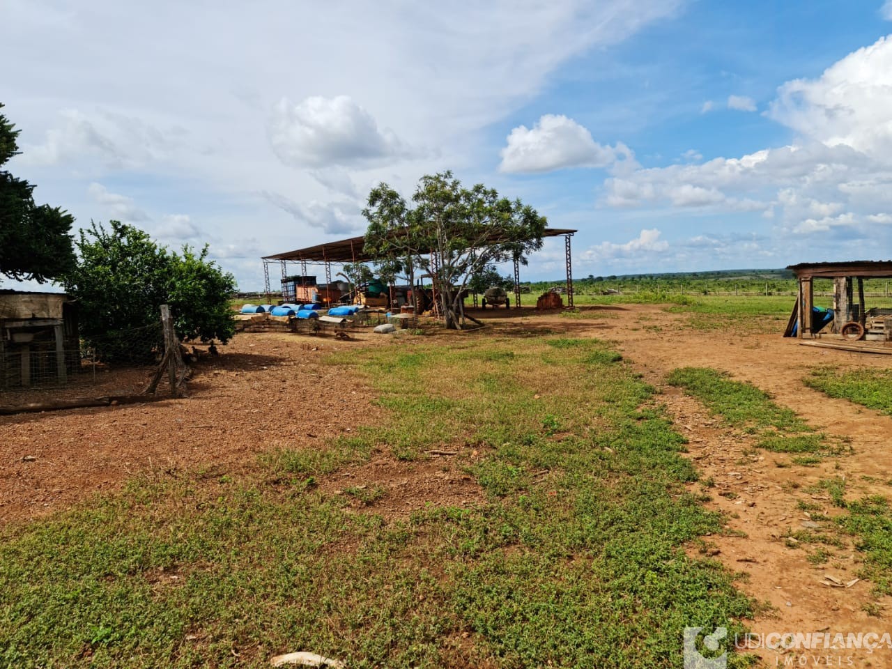 Fazenda - Foto 6