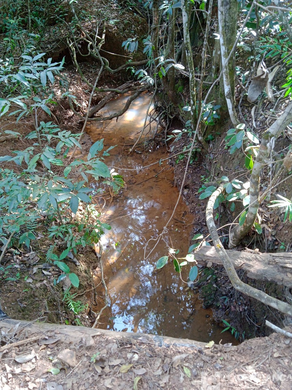Fazenda - Foto 16