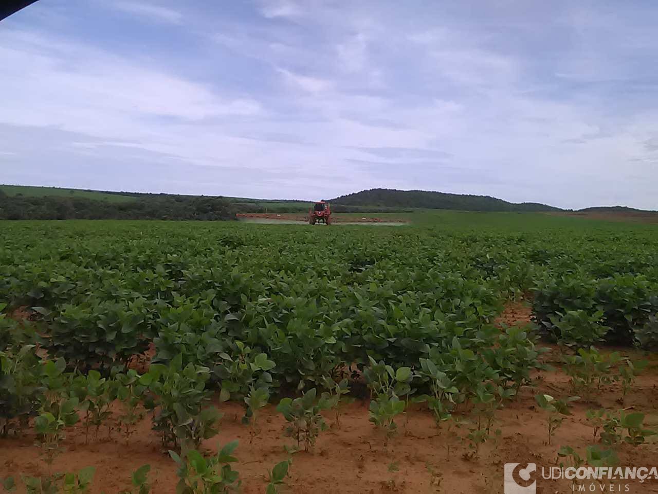Fazenda - Foto 13