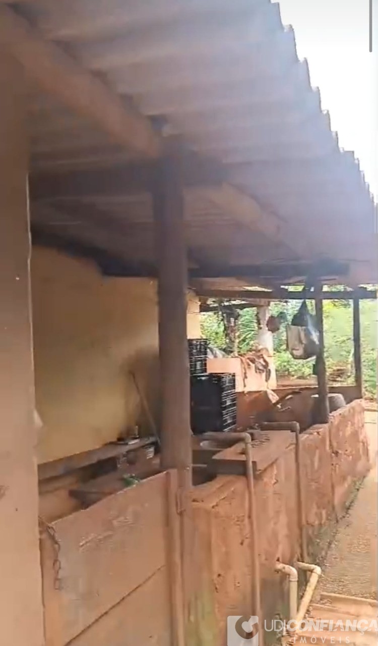 Fazenda - Foto 8