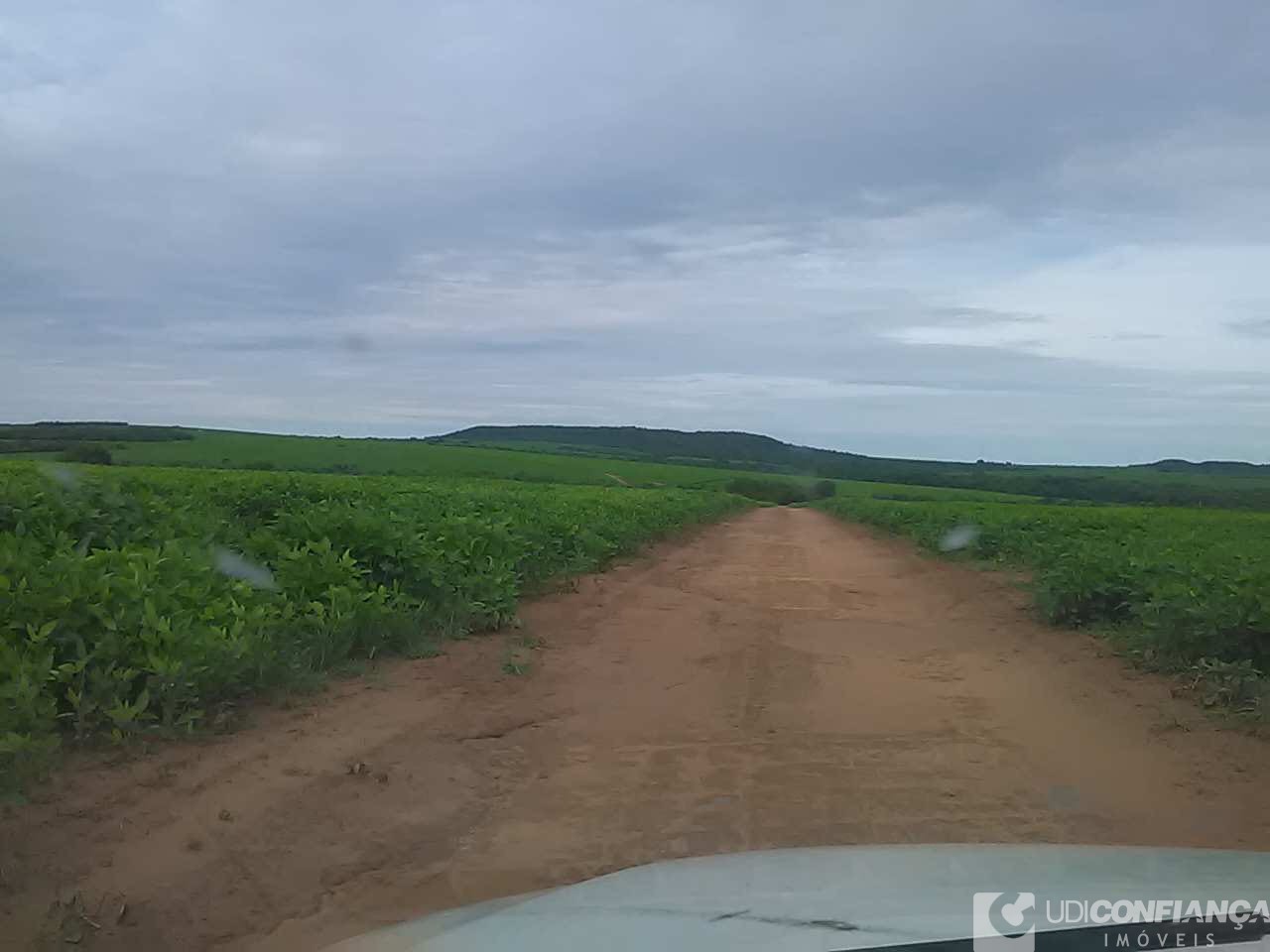 Fazenda - Foto 20