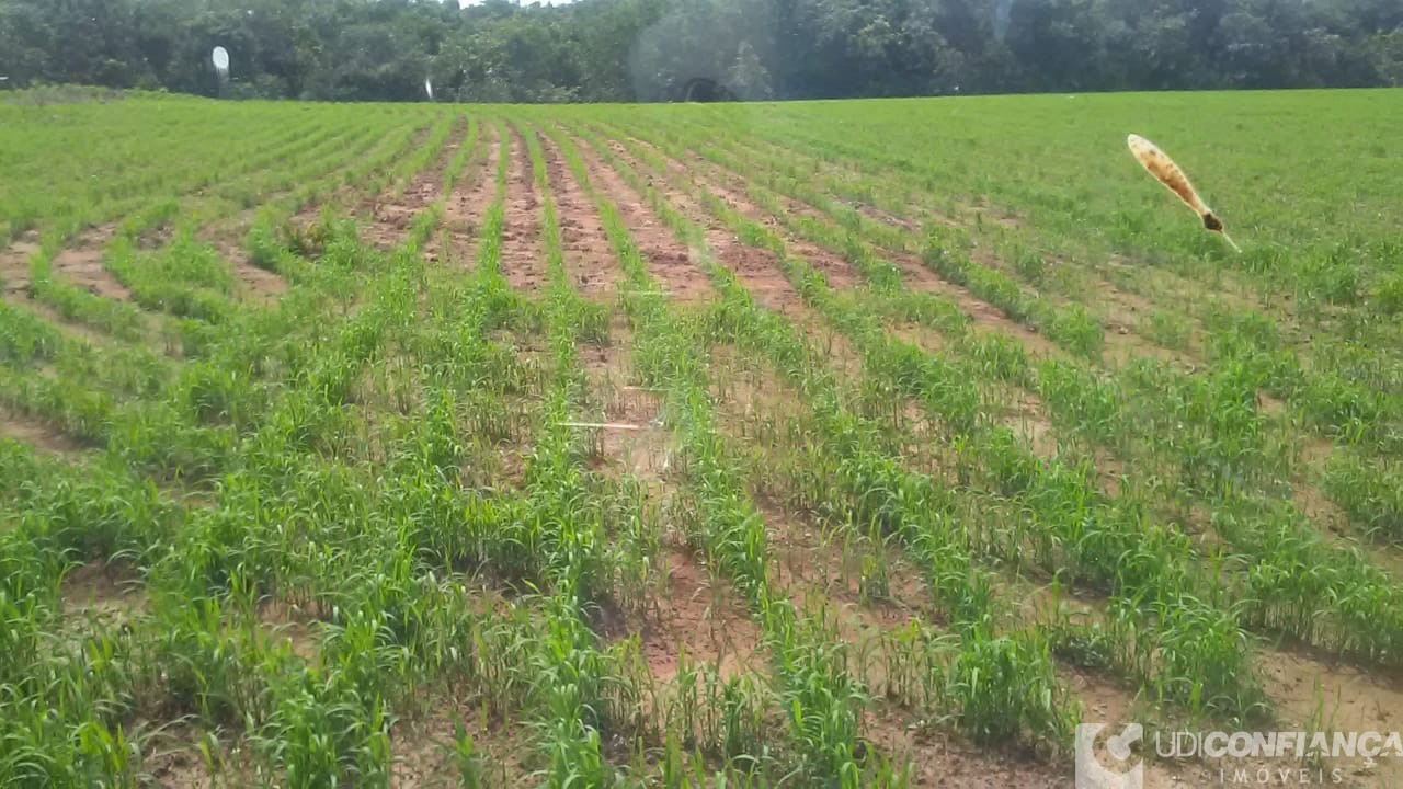 Fazenda - Foto 27