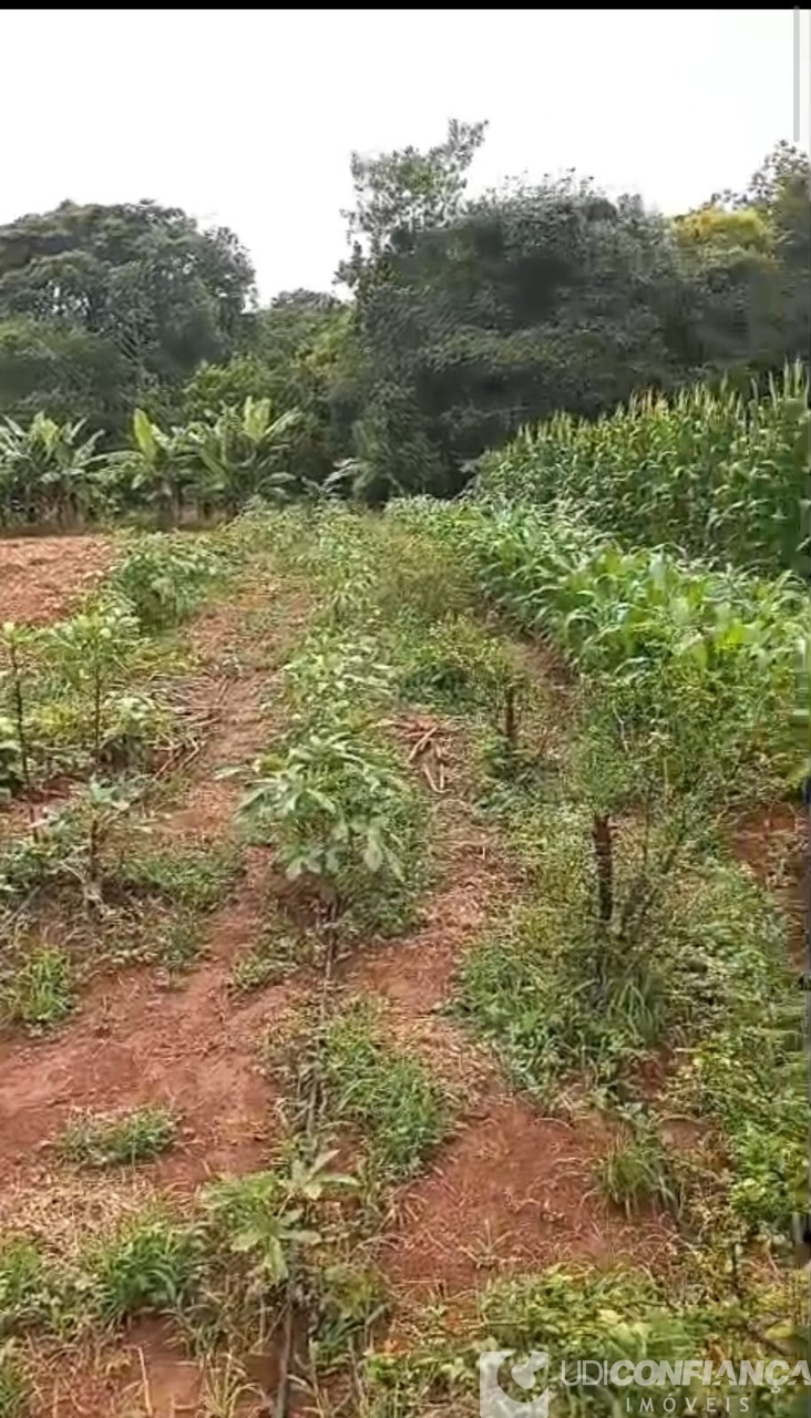 Fazenda - Foto 9