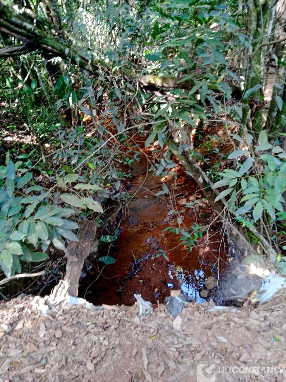 Fazenda - Foto 24