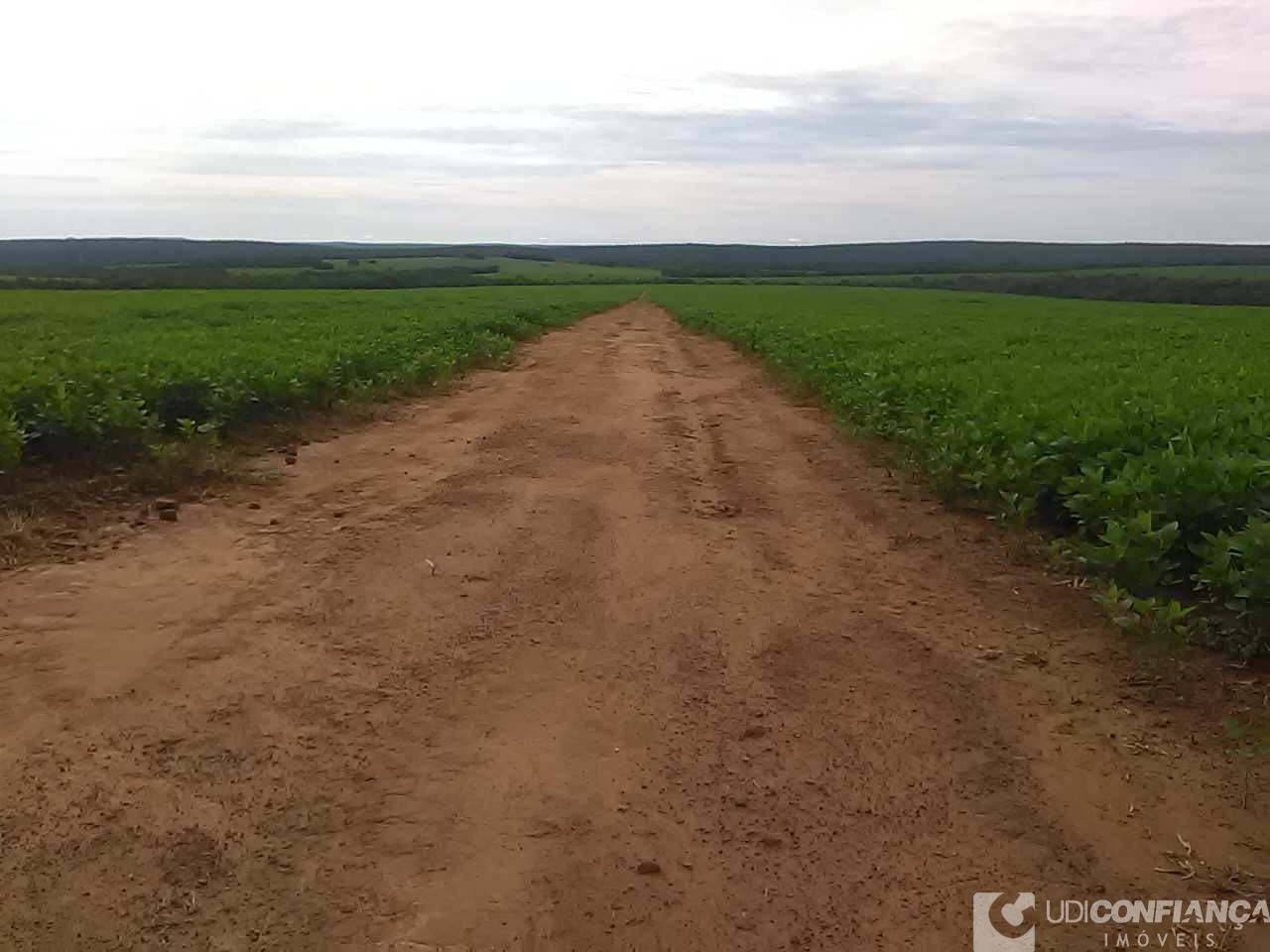 Fazenda - Foto 15