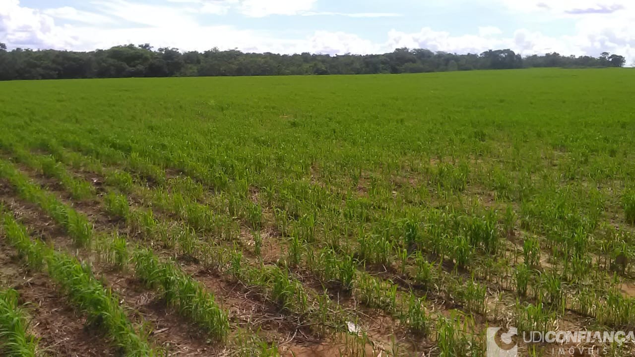 Fazenda - Foto 26