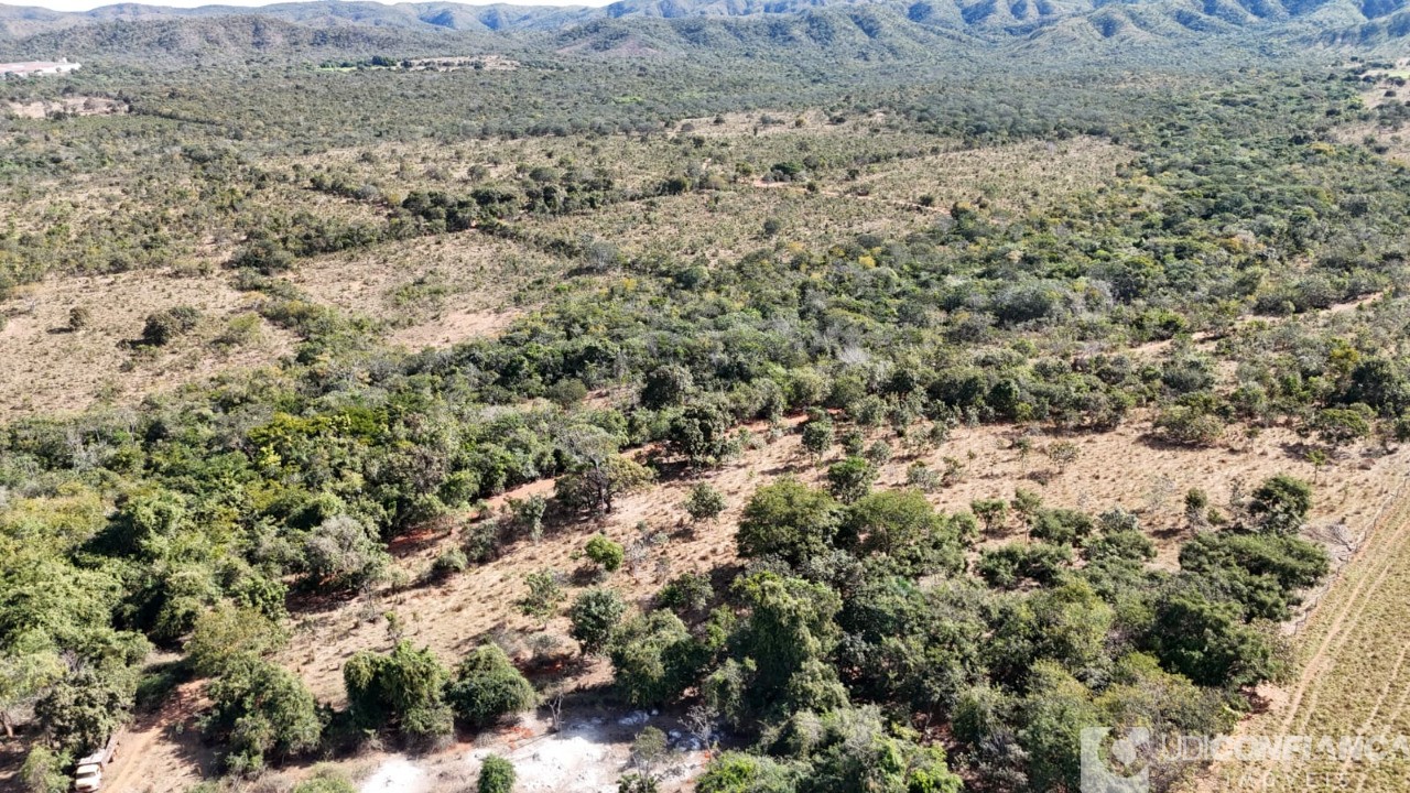 Fazenda - Foto 13