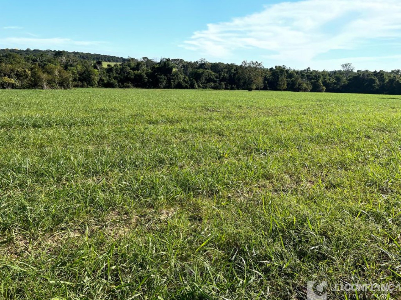 Fazenda - Foto 11