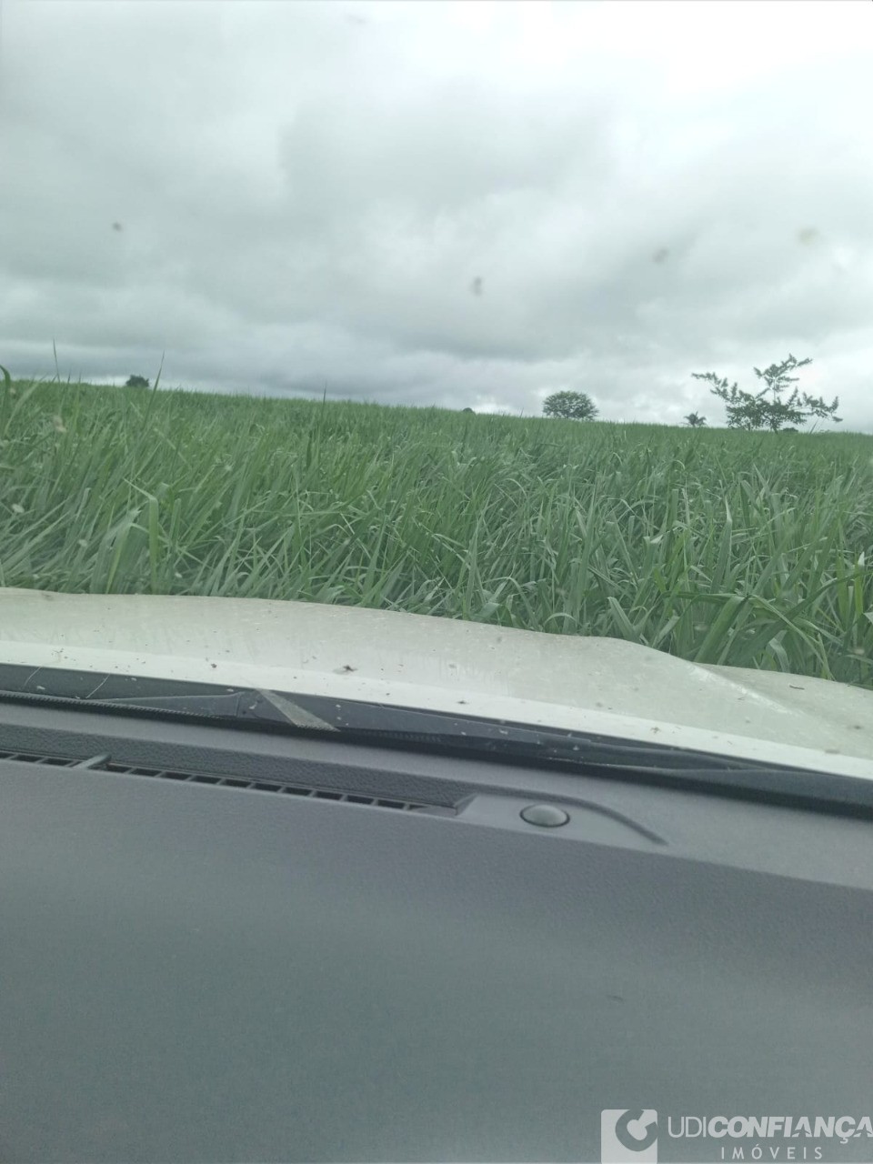 Fazenda - Foto 18
