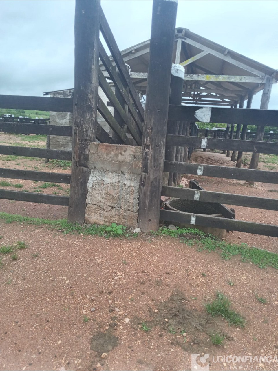 Fazenda - Foto 30